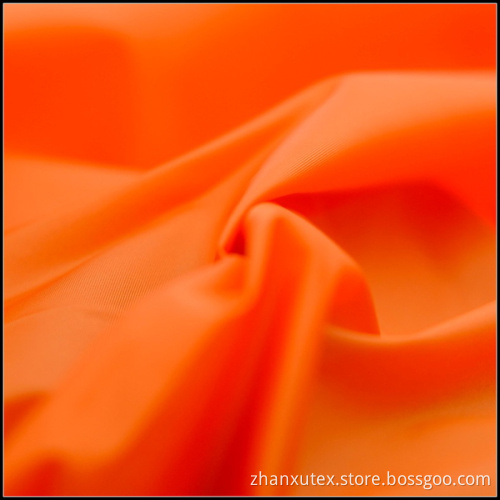 SGS 100% Nylon 210t Taffeta Fabric (ZX-NSF061415)